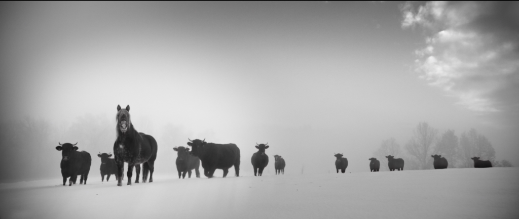 screenshot 2026 01 23 001456