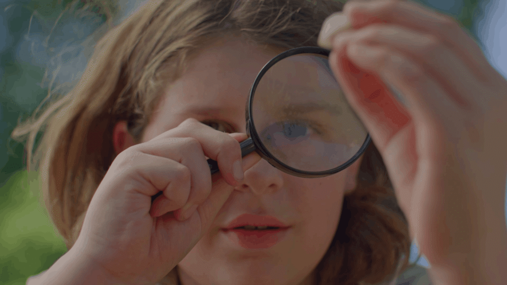 screenshot 2026 01 23 172238