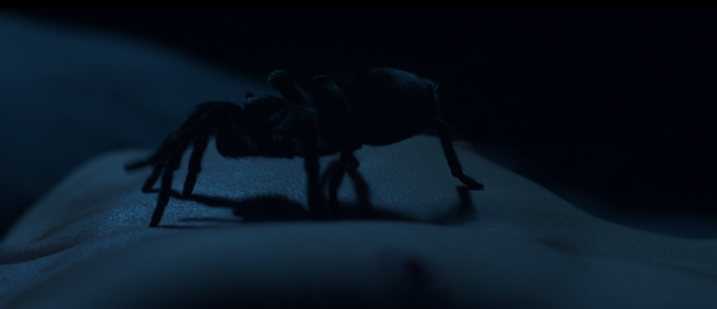 screenshot 2026 01 23 210811