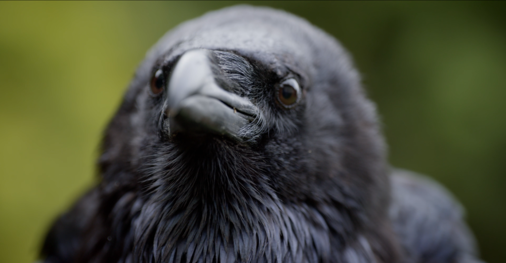 screenshot 2026 01 23 212016