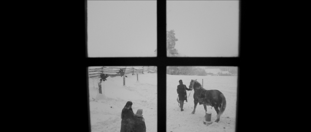 screenshot 2026 01 23 215908