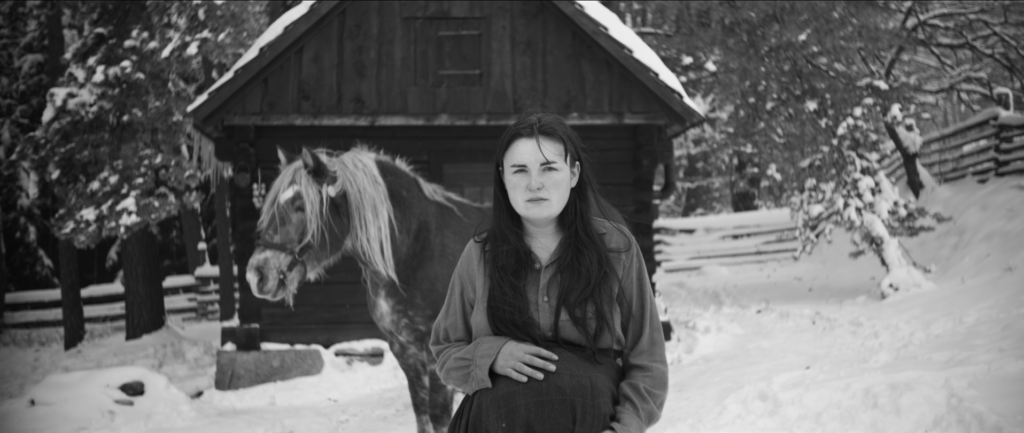 screenshot 2026 01 23 215958