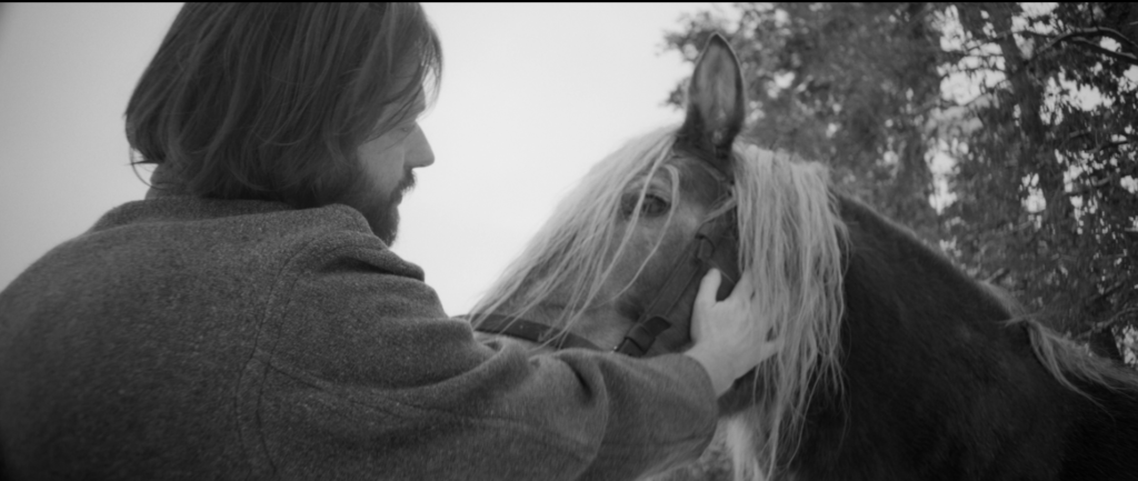 screenshot 2026 01 23 220027