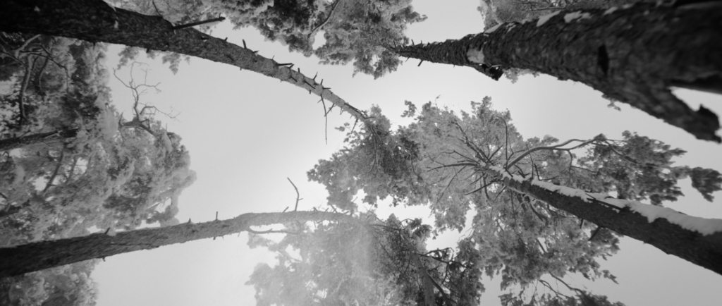 screenshot 2026 01 23 232124