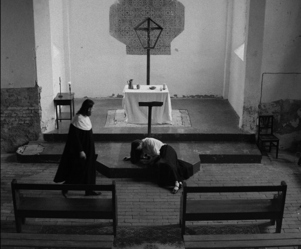 whatsapp image 2026 01 23 at 19.20.42 (2)