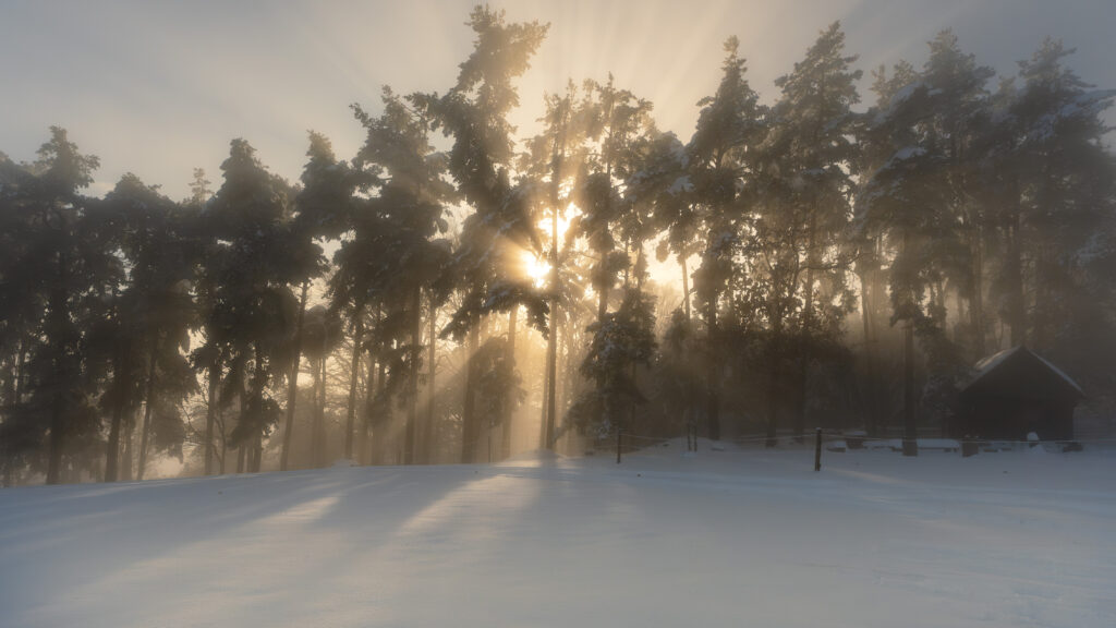 dsc01464 enhanced nr