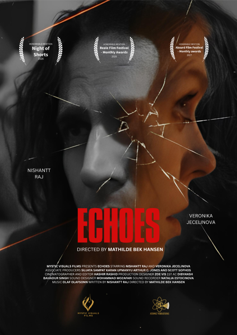 echoes festival poster